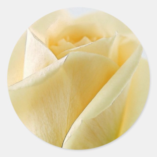 Rosenaufkleber und Umschlag Aufkleber (Vorderseite)