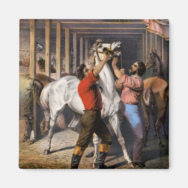 Rosenbergs "Great East India Horse Invigorator". Magnet (Vorne)