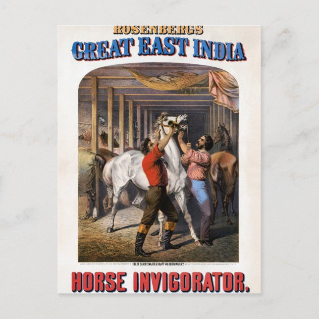 Rosenbergs "Great East India Horse Invigorator". Postkarte (Vorderseite)