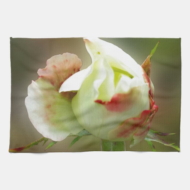 Rosenbläschen Geschirrtuch (Horizontal)