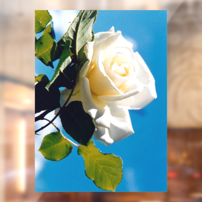 Rosenblümchen Fensteraufkleber (Blatt 2)