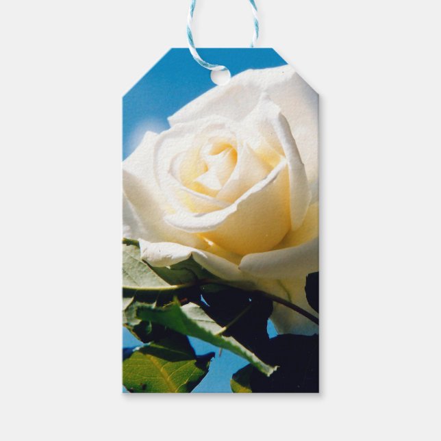 Rosenblümchen Geschenkanhänger (Vorderseite)