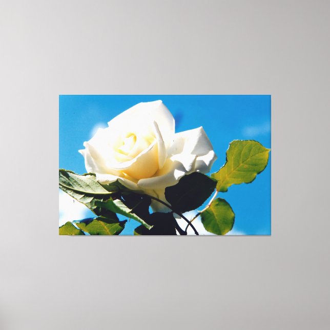 Rosenblümchen Leinwanddruck (Vorderseite)