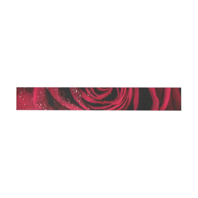 Rosenblüten 1 (Person)
