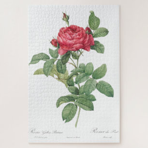 Rosenblüten-Blume Vintage alte Illustration Puzzle