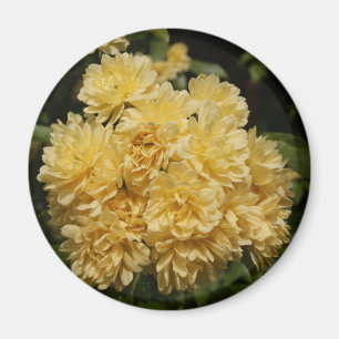 Rosenbukett Magnet