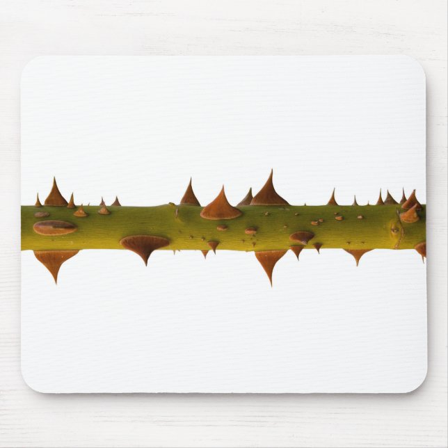Rosendornen Mousepad (Vorne)