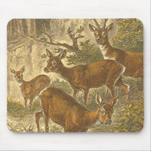Rosenfamilie - Hirsche im Wald Mousepad