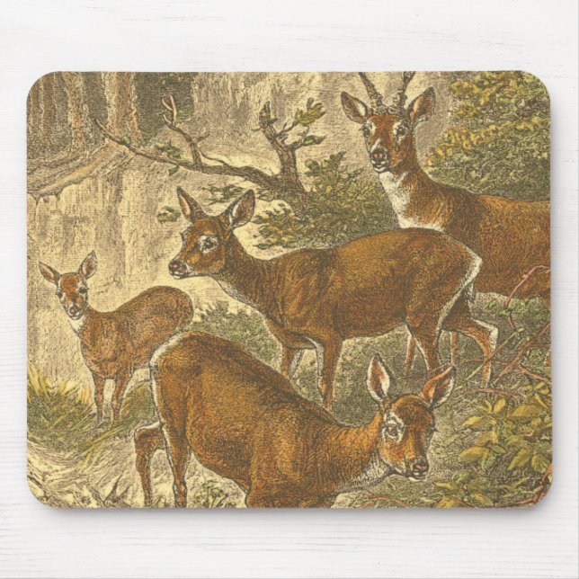 Rosenfamilie - Hirsche im Wald Mousepad (Vorne)