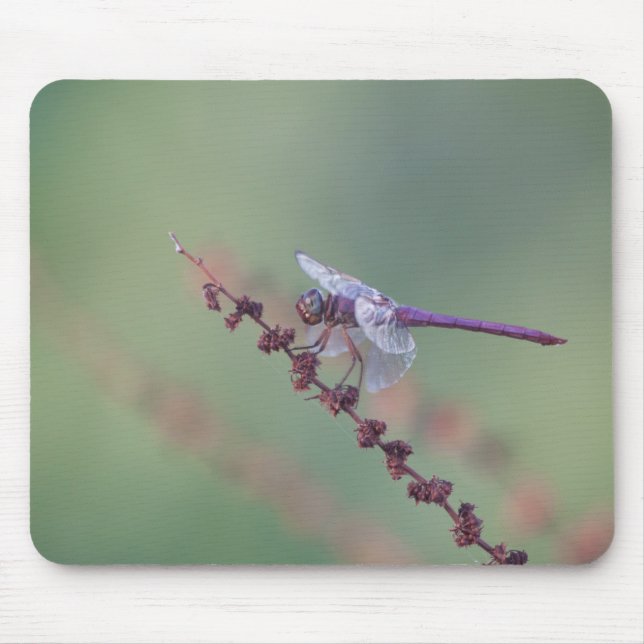 Rosenfliege Mousepad (Vorne)