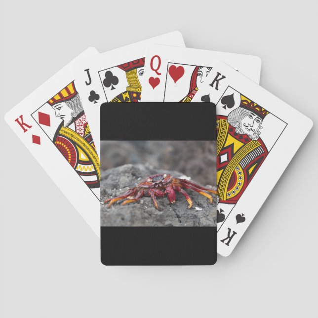 Rosengarbe Spielkarten (Rückseite)