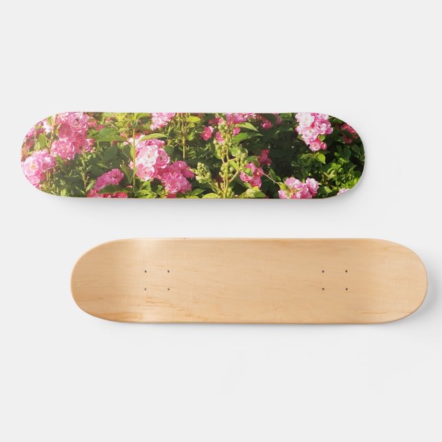 Rosengarten Skateboard (Horizontal)