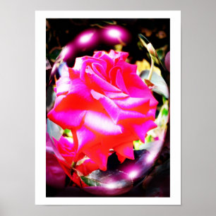 Rosengeister Poster