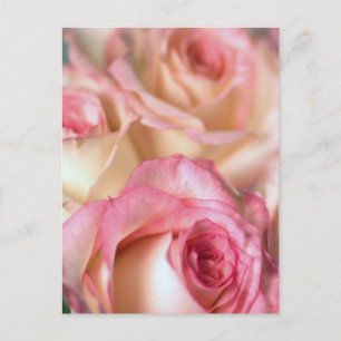 Rosengeschenk Postkarte