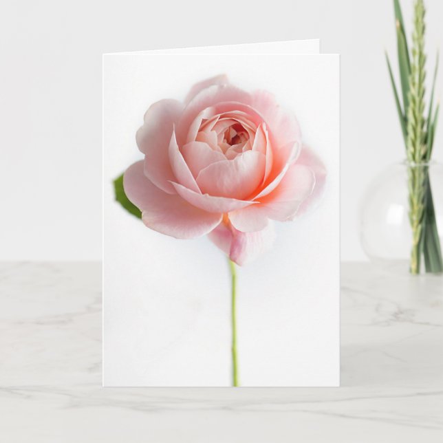 Rosengrüßkarte Karte (Vorderseite)