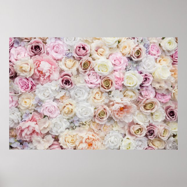 Rosenhintergrund Poster (Vorne)