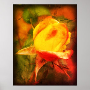 Rosenknospe Floral Art Foto Malerei erschüttert Poster