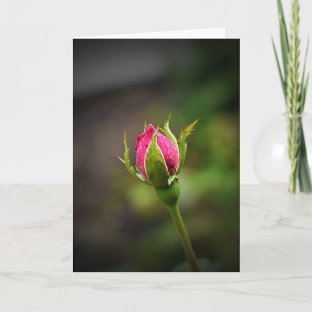 Rosenknospe, Karte (Vorderseite)