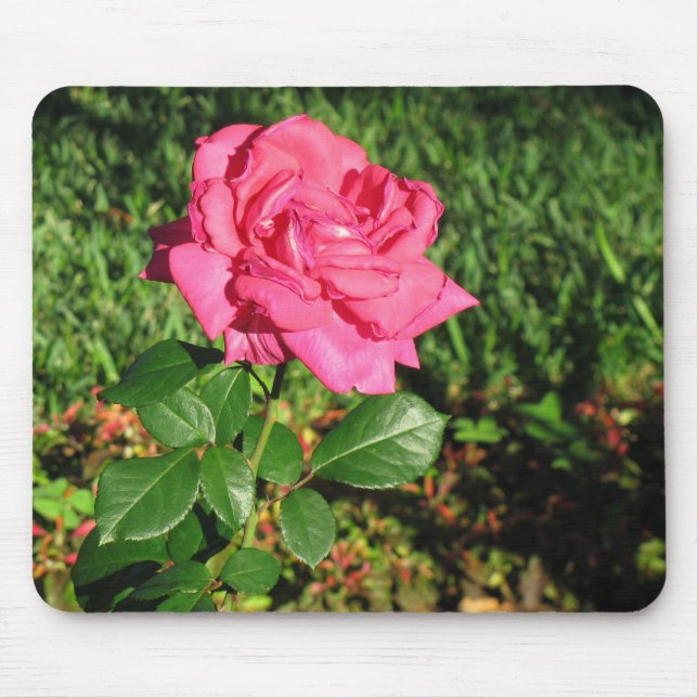 Rosenmousepad Mousepad (Vorne)