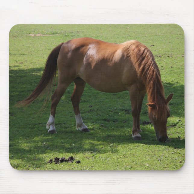 Rosenmousepad Mousepad (Vorne)
