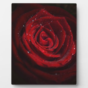 Rosenreben Herz Muster Blume Frieden Liebe Schicks Fotoplatte