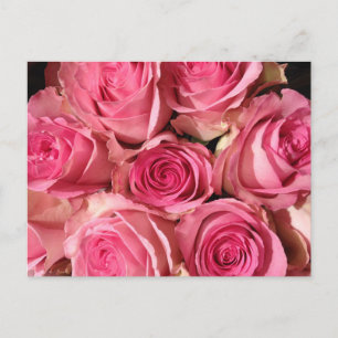 Rosenrosen-Blume Postkarte