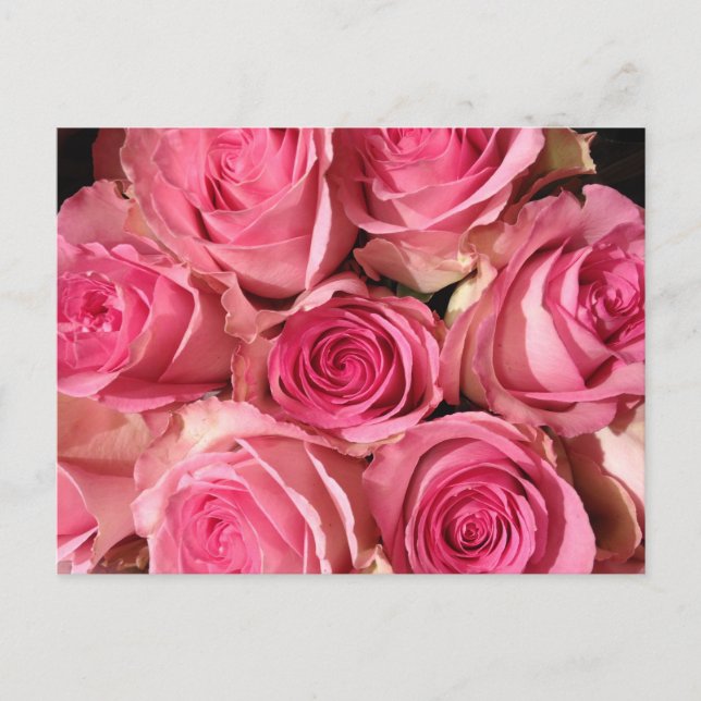 Rosenrosen-Blume Postkarte (Vorderseite)
