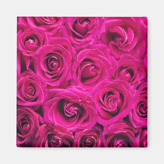 Rosenrosen (Liebe und Romantik) Magnet (Vorne)