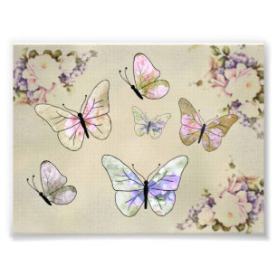 Rosenschmetterlinge Fotodruck