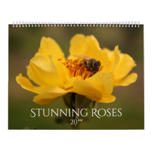 Roses Atemberaubende Fotografie 2020 Kalender