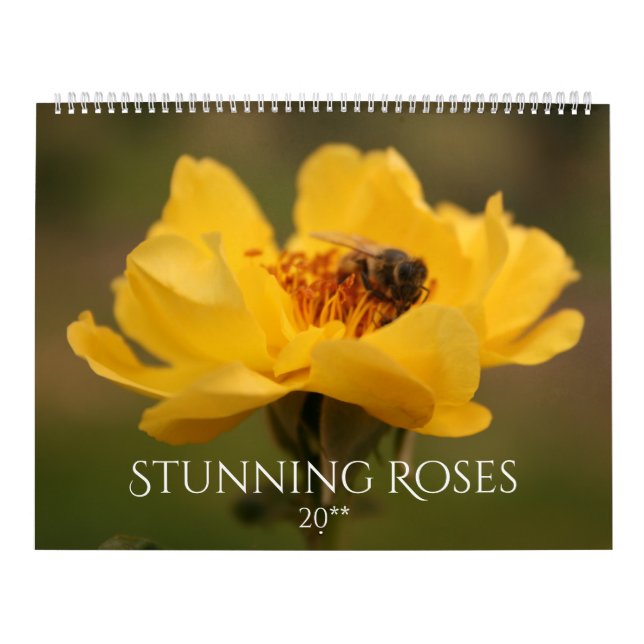 Roses Atemberaubende Fotografie 2020 Kalender (Titelbild)