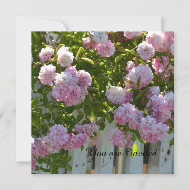 Roses Birthday Einladung (Vorderseite)
