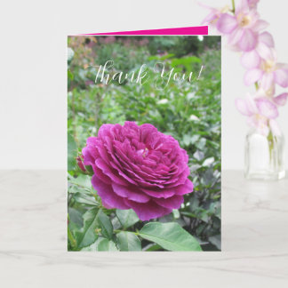 Roses Folded Greeting Card Karte