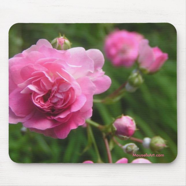 Roses Mousepad (Vorne)