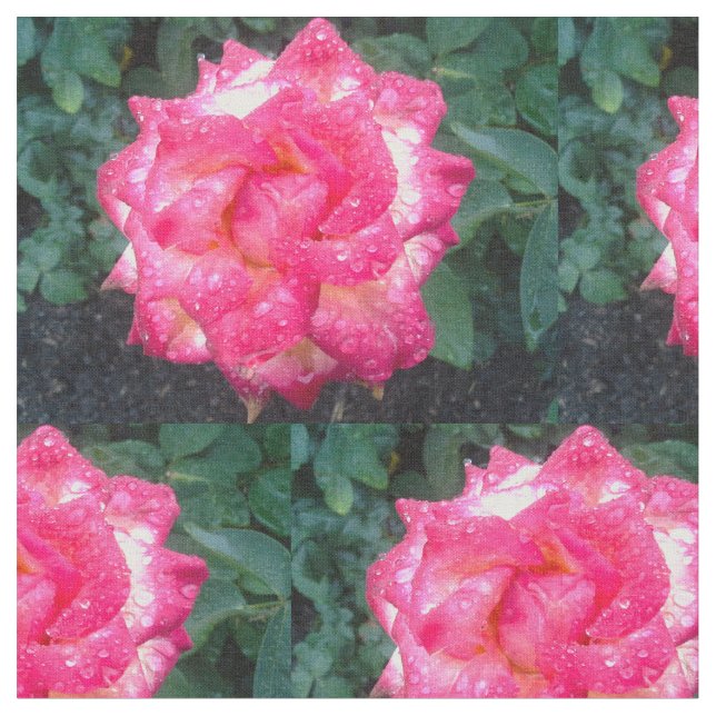 ROSES UND RAINDROPS STOFF (Nahaufnahme)