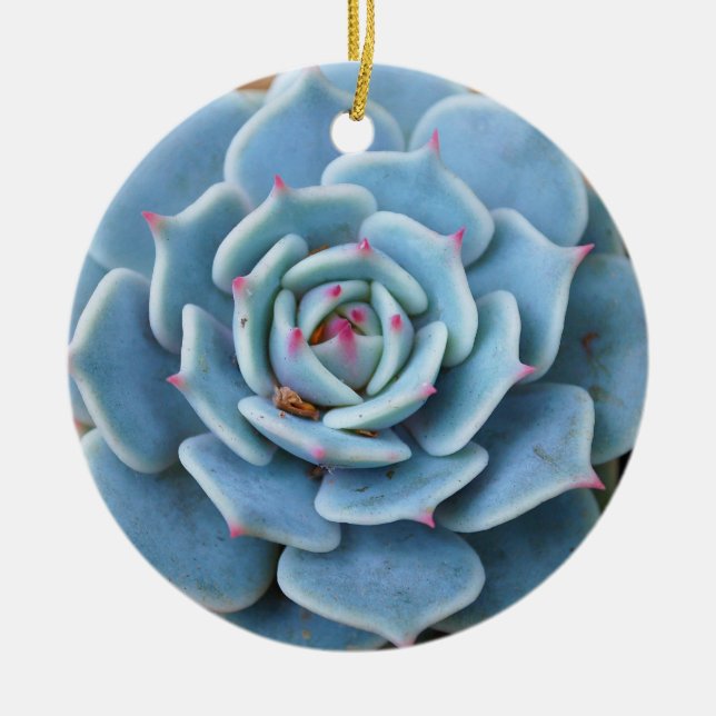 Rosesucculent-Verzierung Keramik Ornament (Vorne)