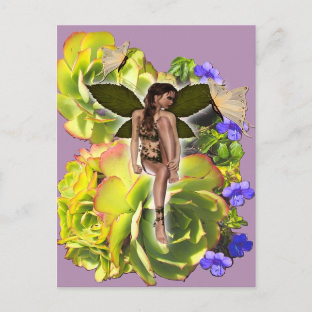 Rosette Succulent Besucher Postkarte (Vorderseite)