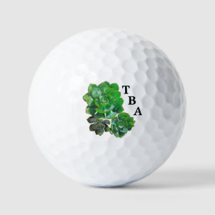 Rosette Succulents Golf Balls Golfball