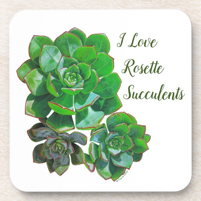 Rosette Succulents Plastischer Untersetzer (Vorderseite)