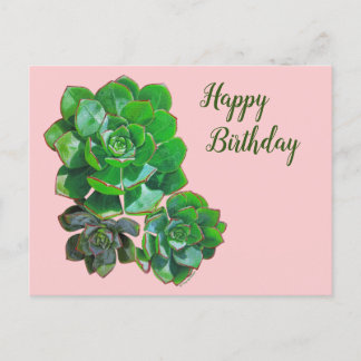Rosette Succules Postkarte