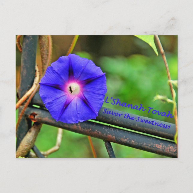 Rosh Hashanah Cards Geschenke Feiertagspostkarte (Vorderseite)