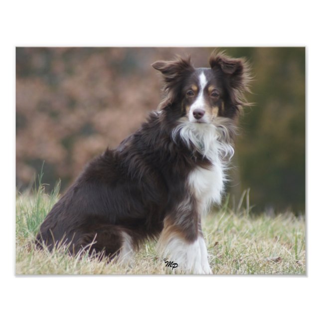 Rosie 1 fotodruck (Vorne)