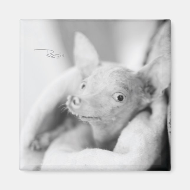 Rosie Foto Magnet (Vorne)