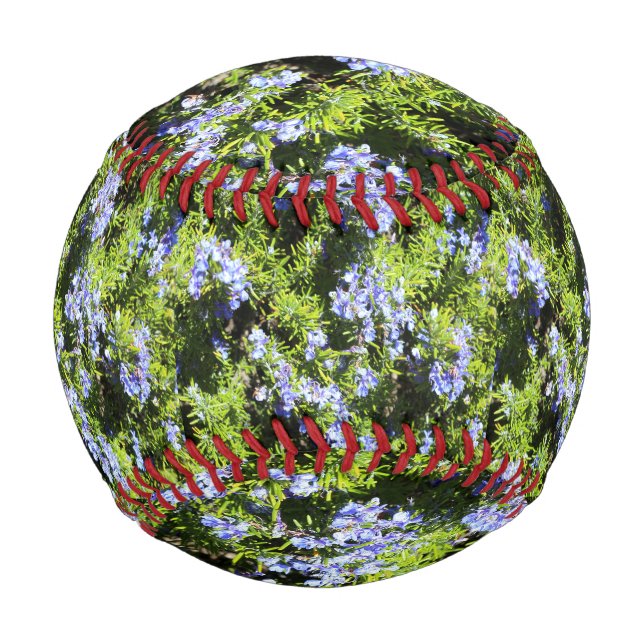 Rosmarin Blume grün Baseball (Vorderseite)