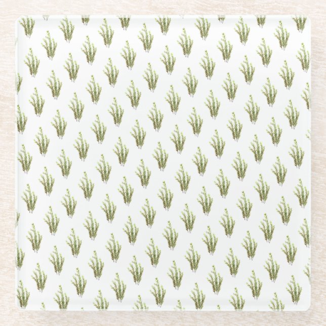 Rosmarin Kräuterkunst Grüne rustikale Chic Glasuntersetzer (Vorderseite)