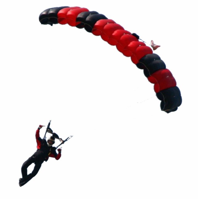 Ross_Canopy_T Fotoskulptur Ornament (Vorne)