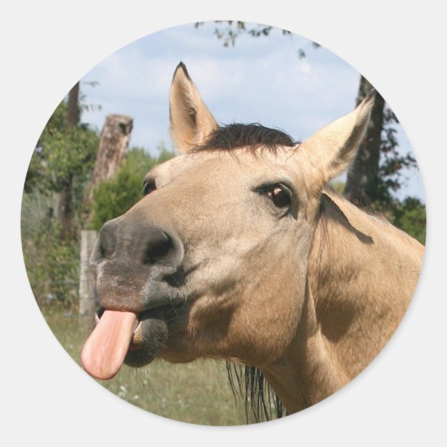 Rossbeersticker Runder Aufkleber (Vorderseite)