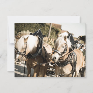 RÖSSER BEI HAAGER HERBSTFEST EINZUG POSTKARTE