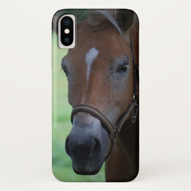 Rosshead 001 Case-Mate iPhone hülle (Rückseite)