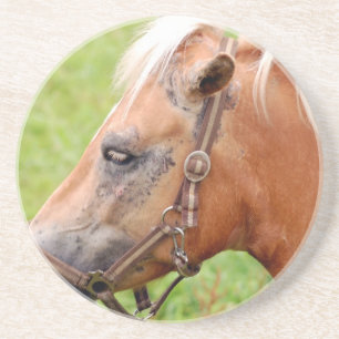 Rosshead 003 getränkeuntersetzer